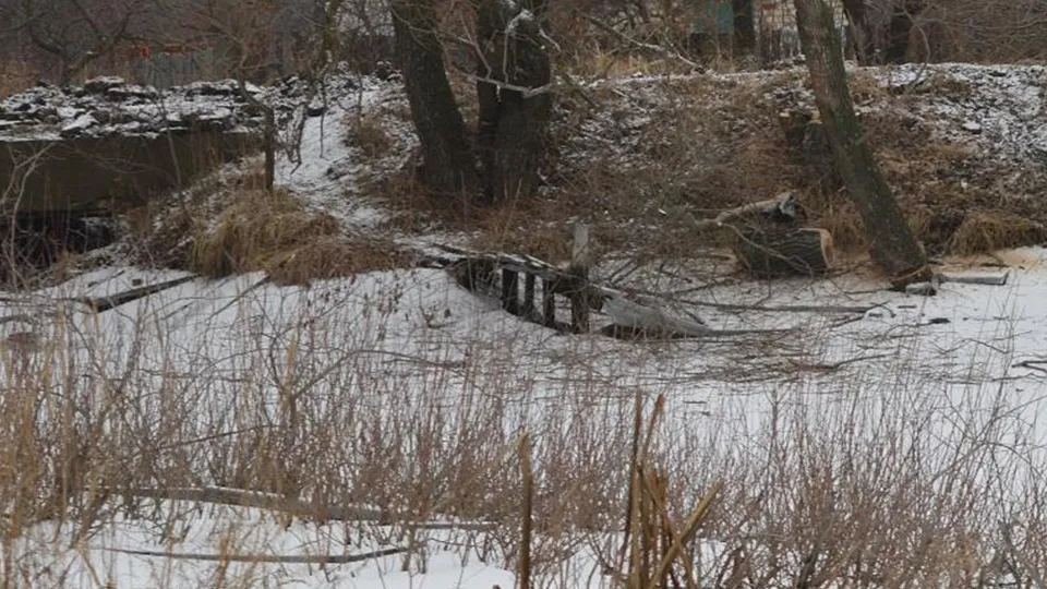 Фото: Министерство экологии и природопользования МО