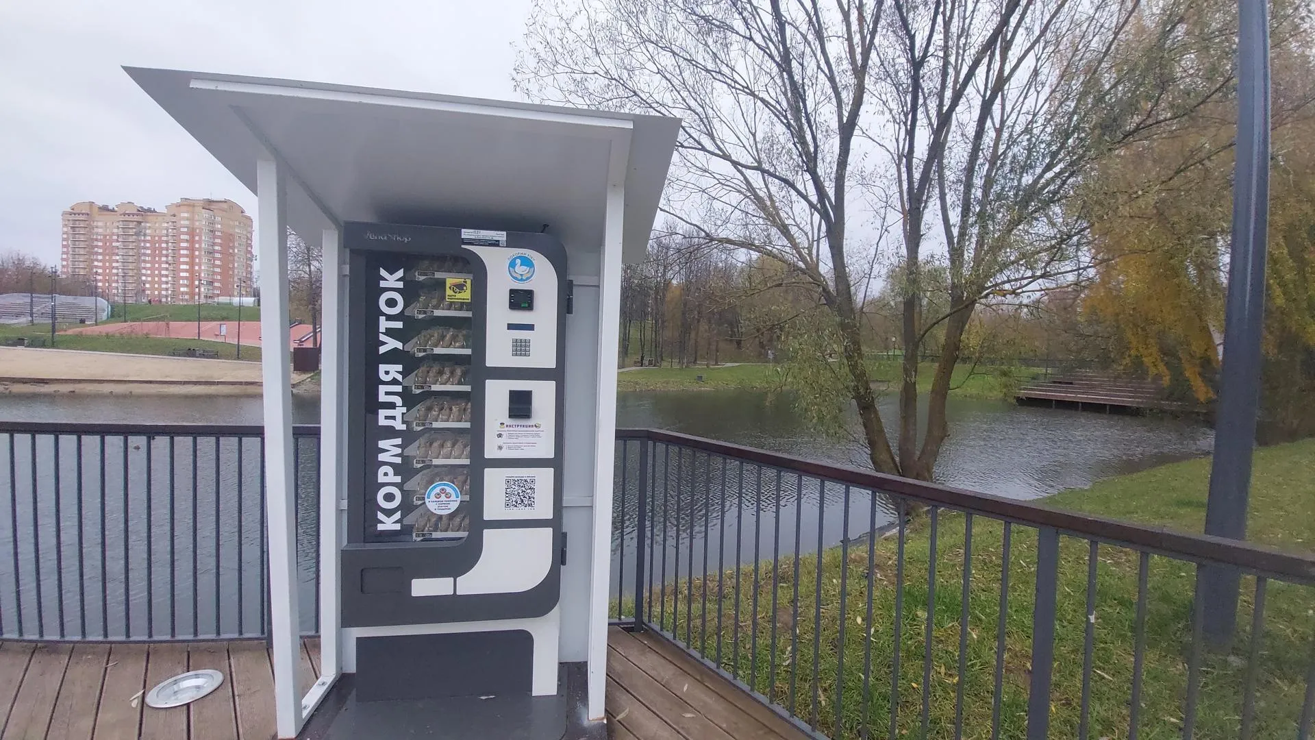 фото: Татьяна Афанасьева