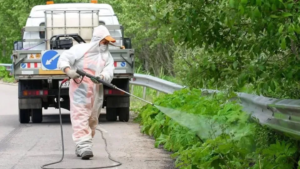 Фото: Министерство транспорта и дорожной инфраструктуры Московской области