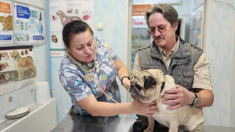 Фото: Анна Мороз