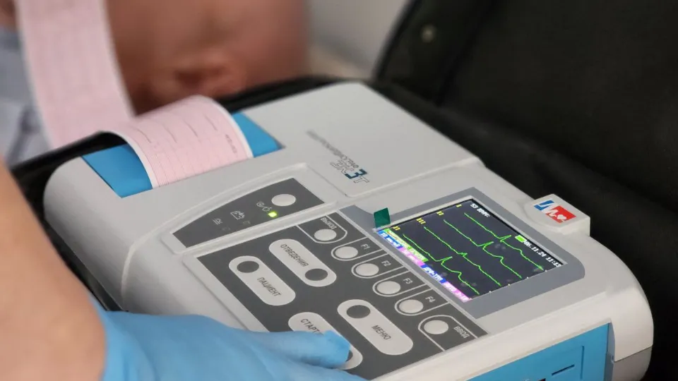 Фото: МедиаБанк Подмосковья/Яна Шаливская