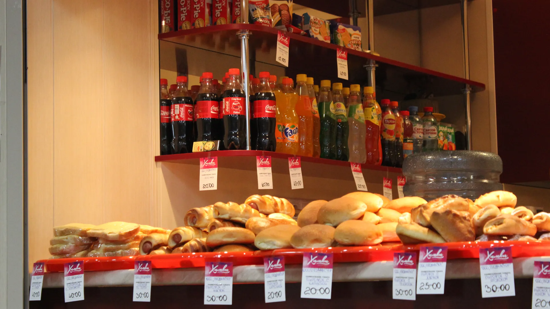 Выборы депутатов в Госдуму и Московскую областную думу