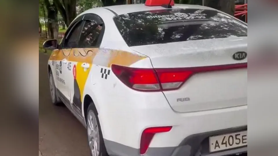 Фото: соцсети