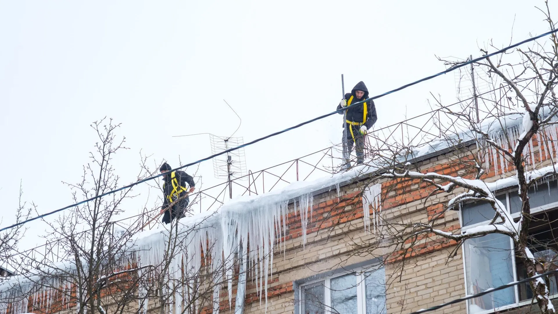 Александр Щербаков