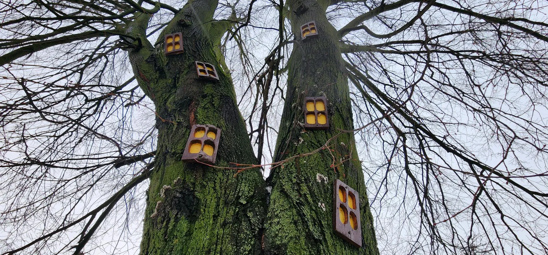 Марина Анисимова