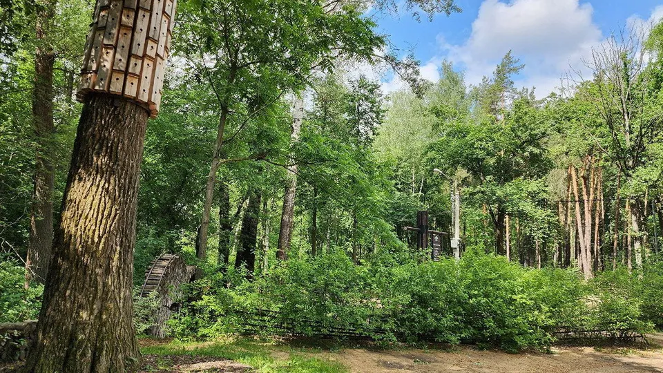 Фото: МедиаБанк Подмосковья/Ксения Пашуто