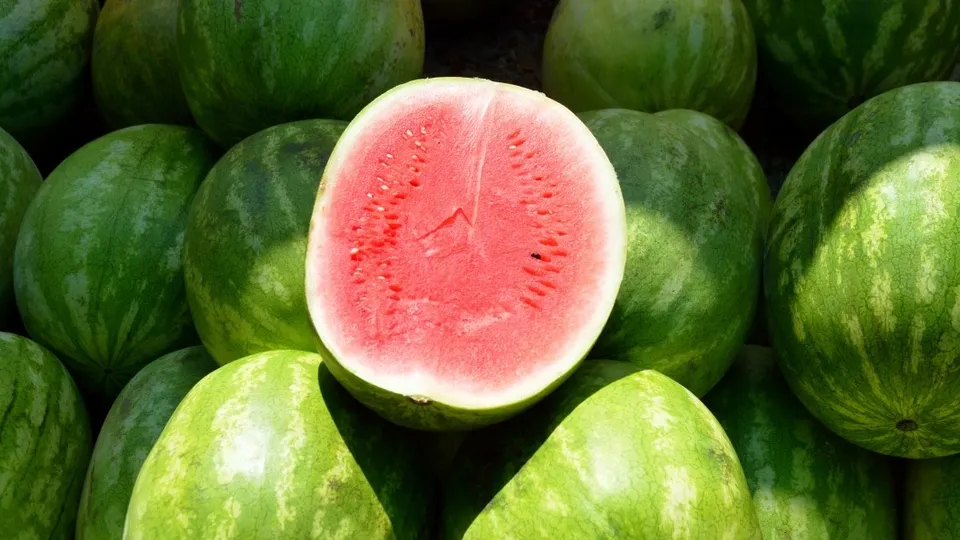 Фото: pxhere.com