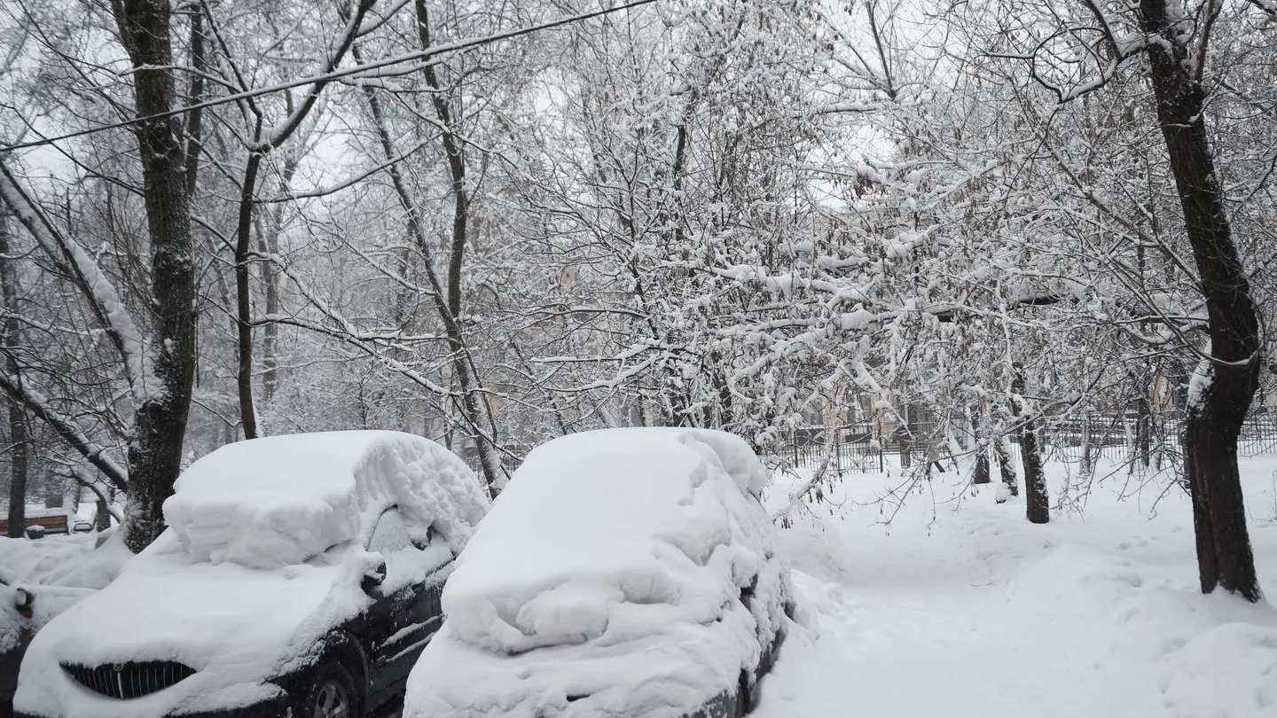 Фото: медиасток.рф