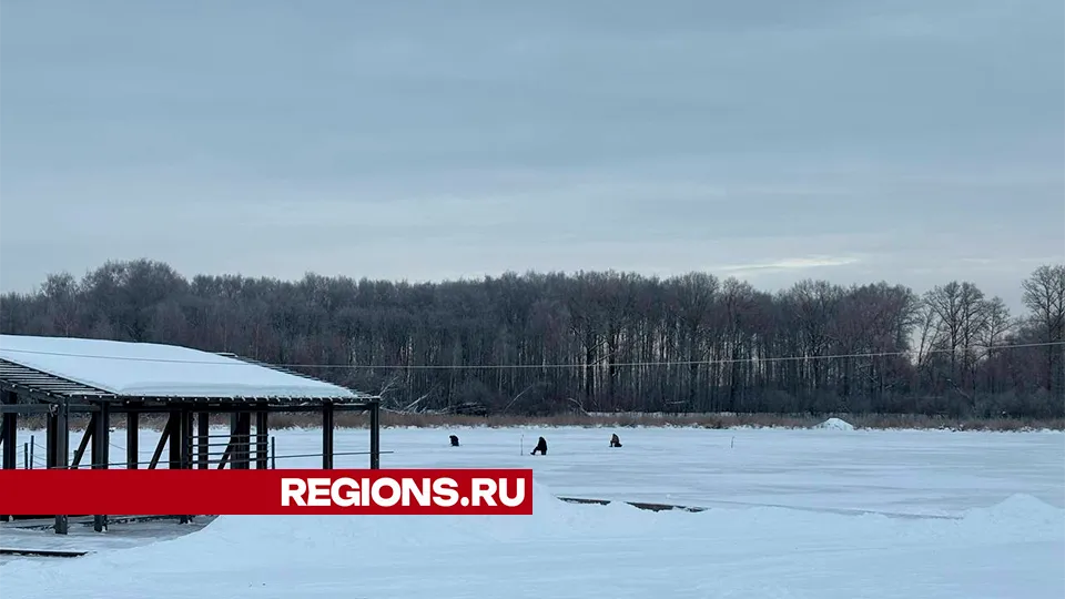 Фото: REGIONS/Алена Мельникова