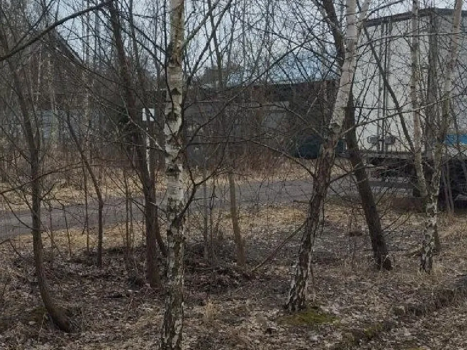 Фото: администрация Одинцовского городского округа