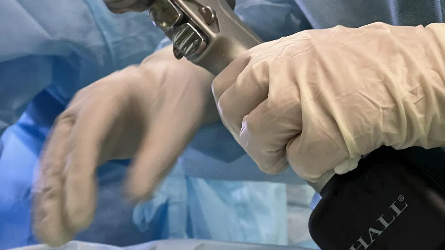 пресс-служба МОДКТОБ/Елизавета Кукушкина