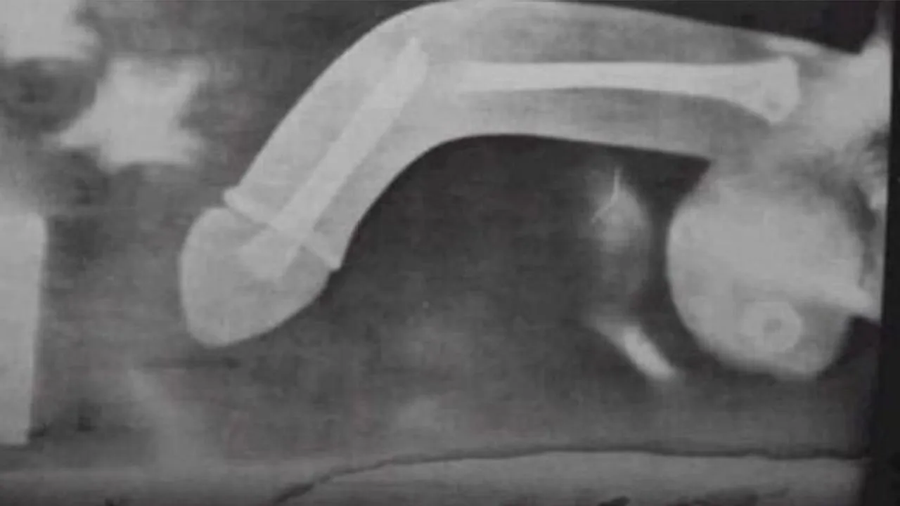 Қос ену бейне