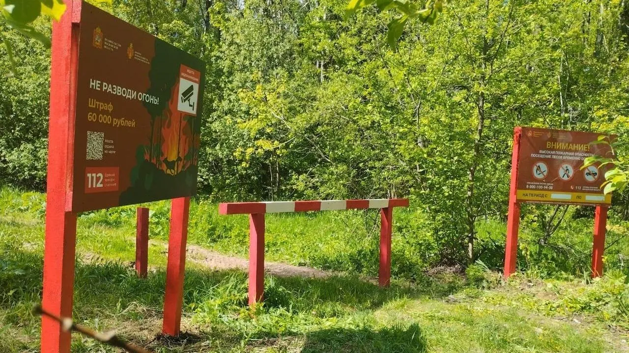 Полторы сотни шлагбаумов установили в лесах Подмосковья