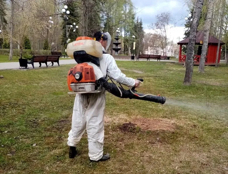 Фото: администрация парка «Москворецкий»