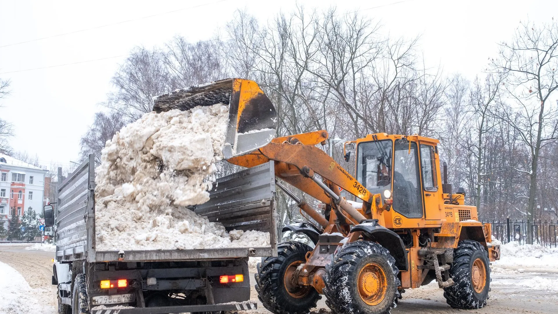 Фото: Александр Щербаков