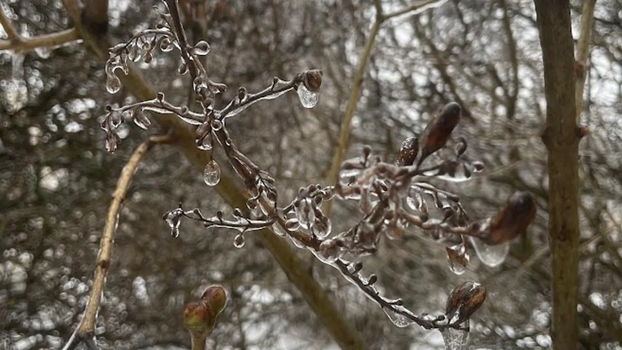 REGIONS/Юлия Арбузова