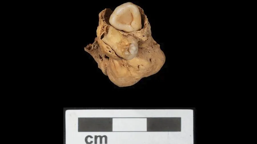 Фото: A. Deblauwe/Amarna Project