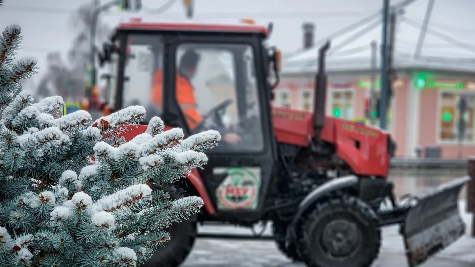 Фото: МедиаБанк Подмосковья/Ольга Антонова