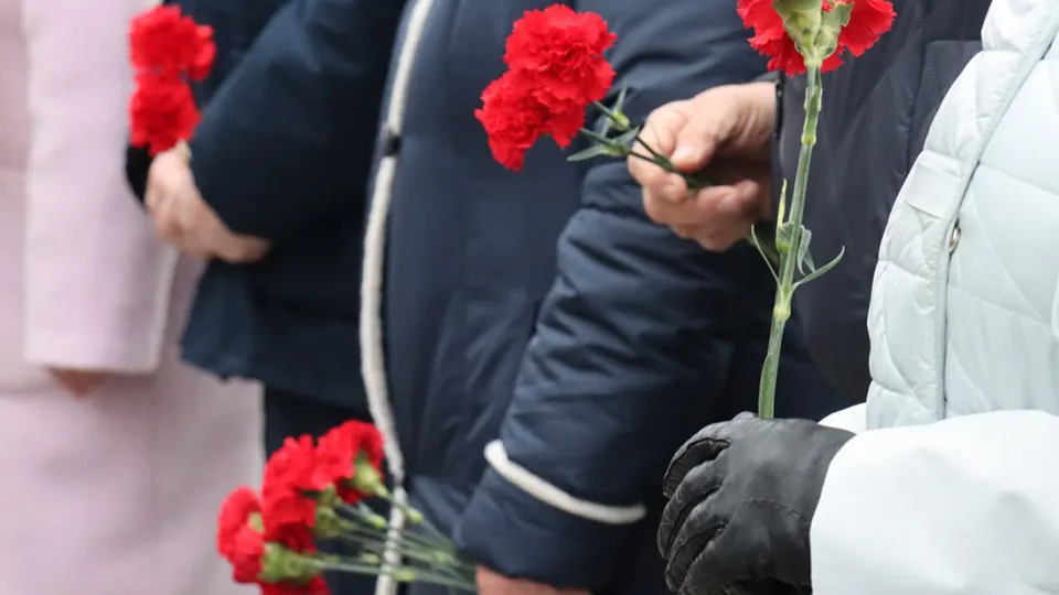 Фото: пресс-служба администрации г.о. Ступино