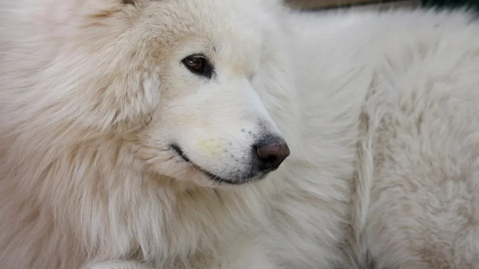 Фото: pxhere.com