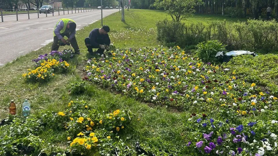Пресс-служба городского округа Лобня
