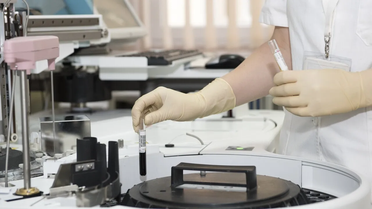 Фото: pxhere.com