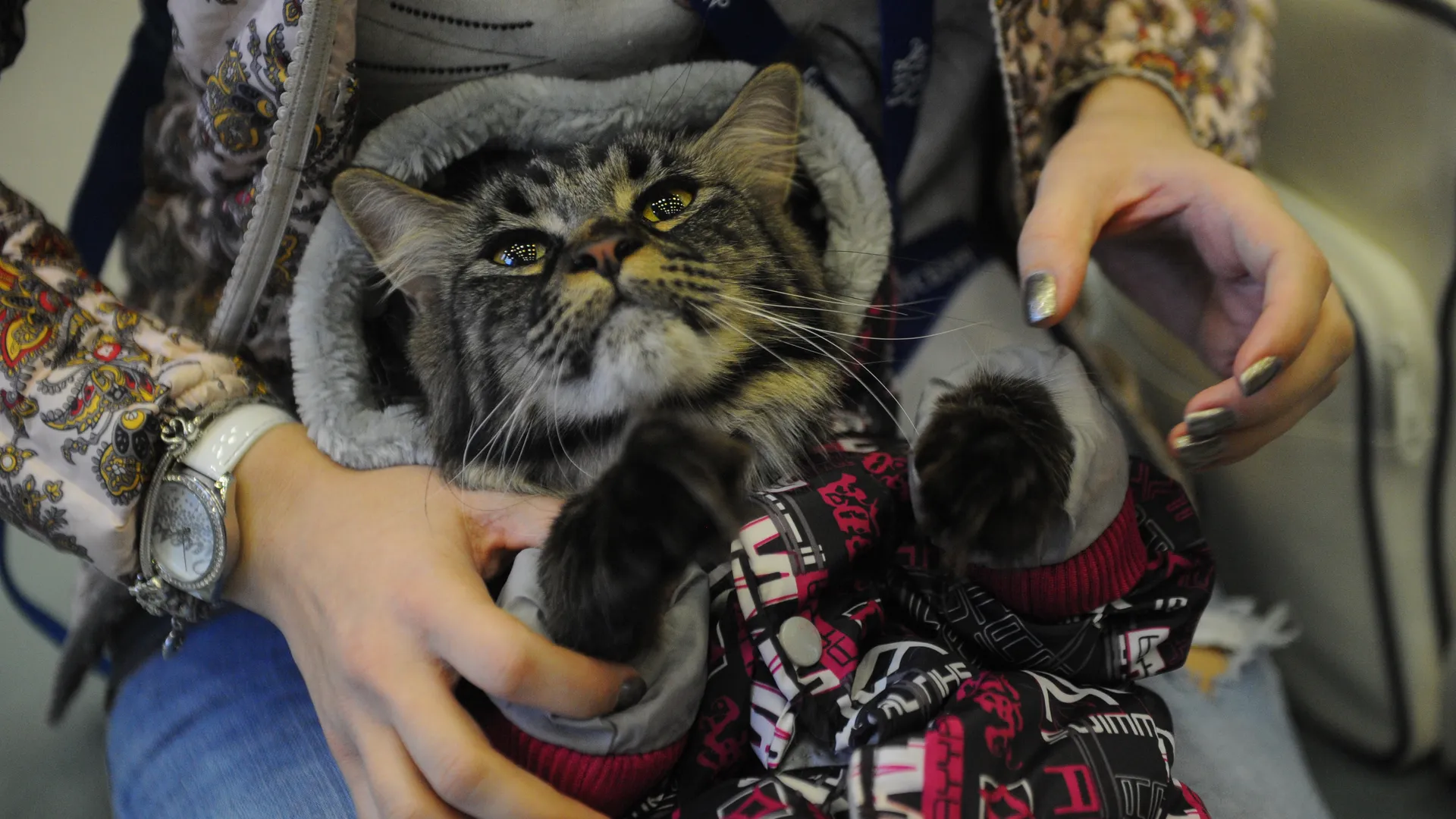 медиасток.рф