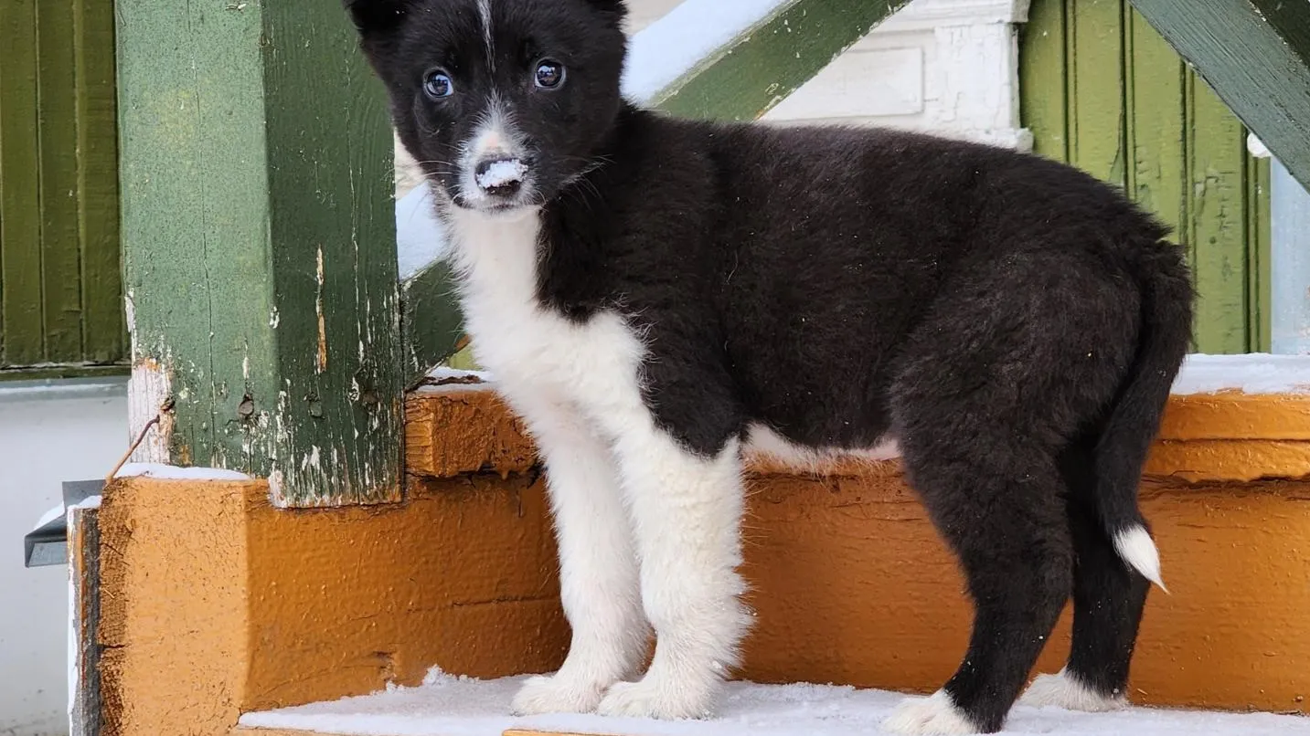 Фото: Екатерина Данилина