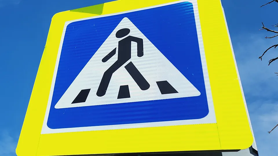 Фото: МедиаБанк Подмосковья/Юлия Андросова