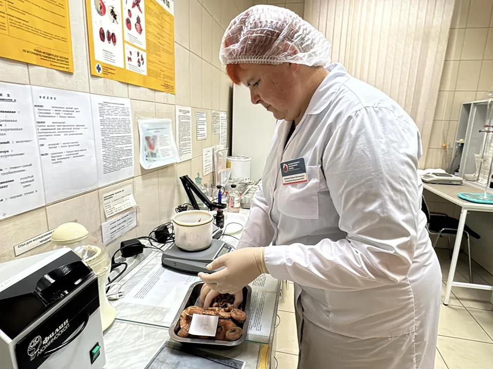 Фото: REGIONS/Мария Шматкова