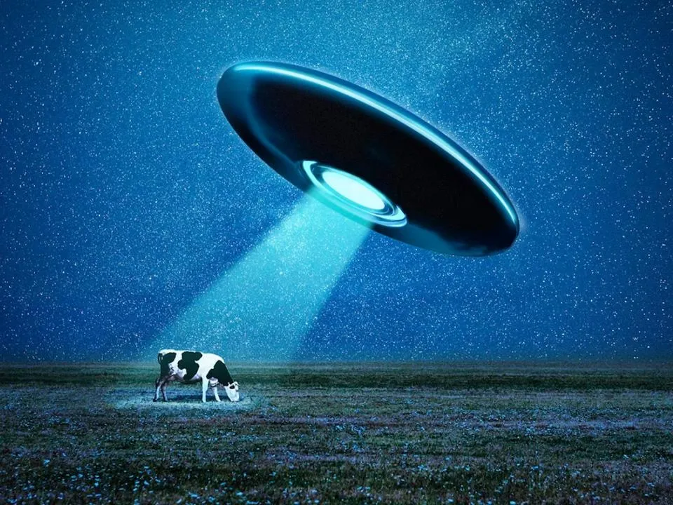 «Чистая фантазия»: исследователи рассказали, проводит ли человечество эксперименты над инопланетянами