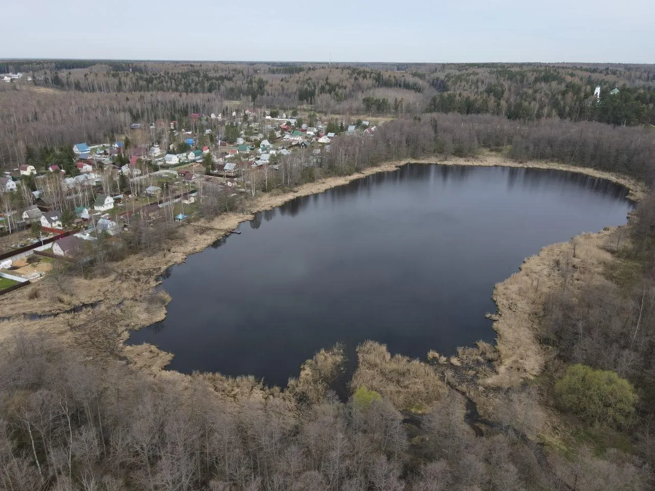 Фото: пресс-служба администрации Дмитровского г.о.
