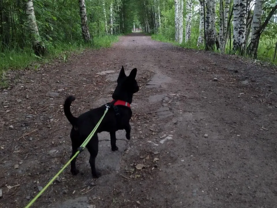 Фото: Министерство жилищной политики Московской области