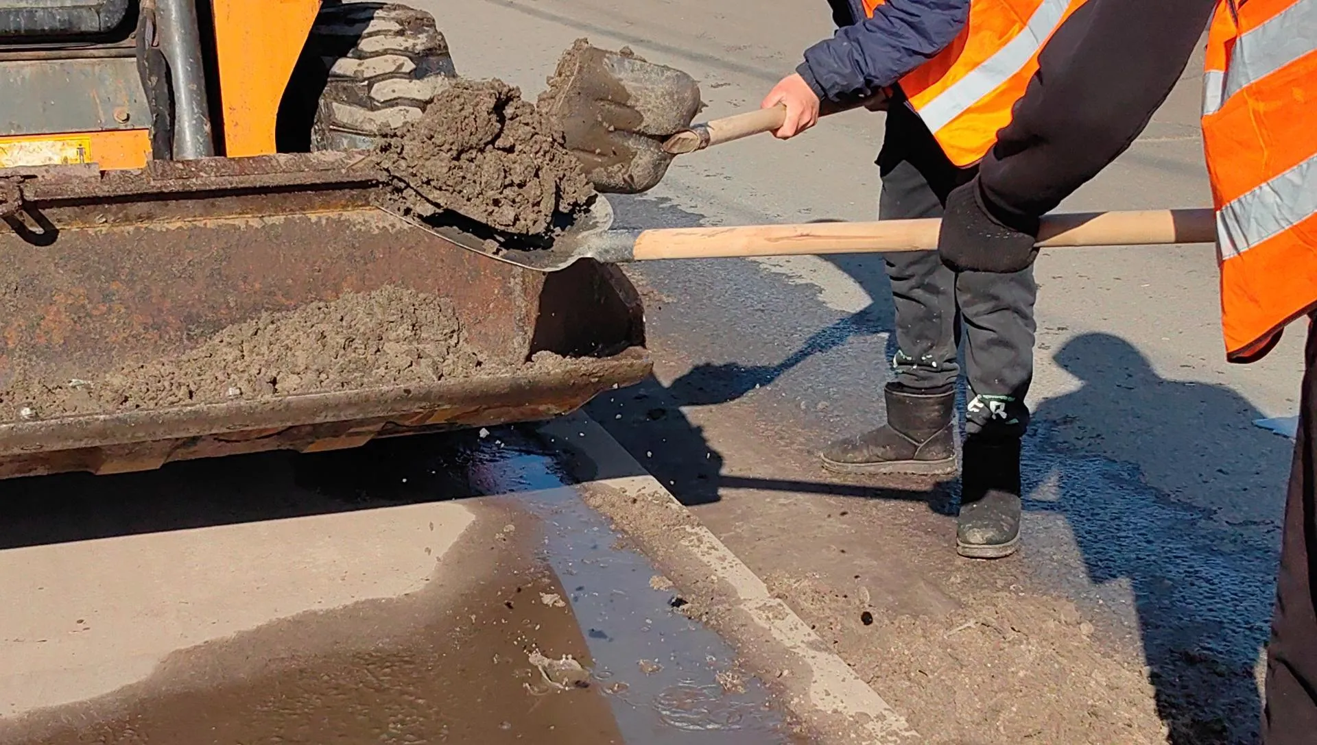 Елена Катасонова