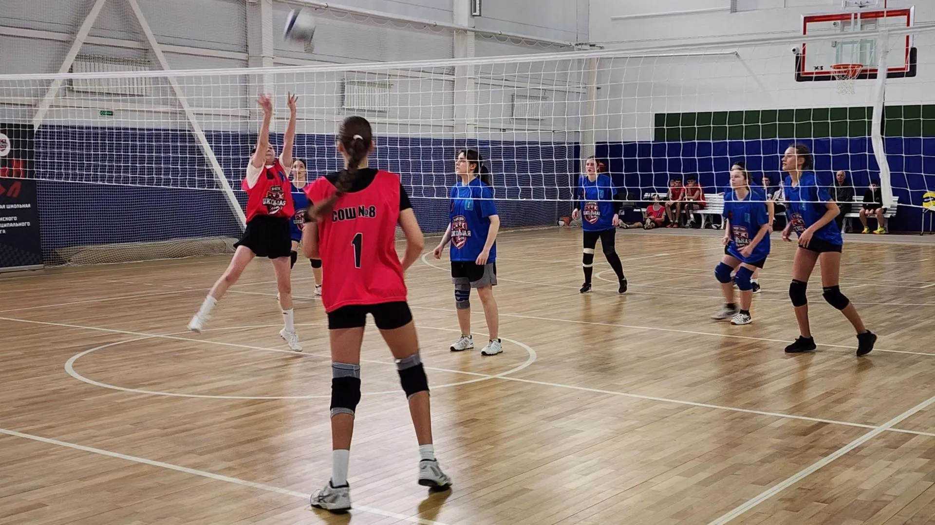 МедиаБанк Подмосковья/Ирина Моисеева