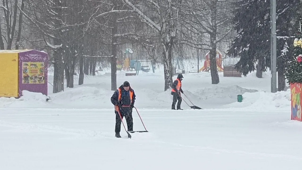Министерство благоустройства Московской области