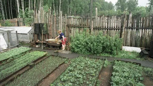 Олег Ласточкин / РИА Новости