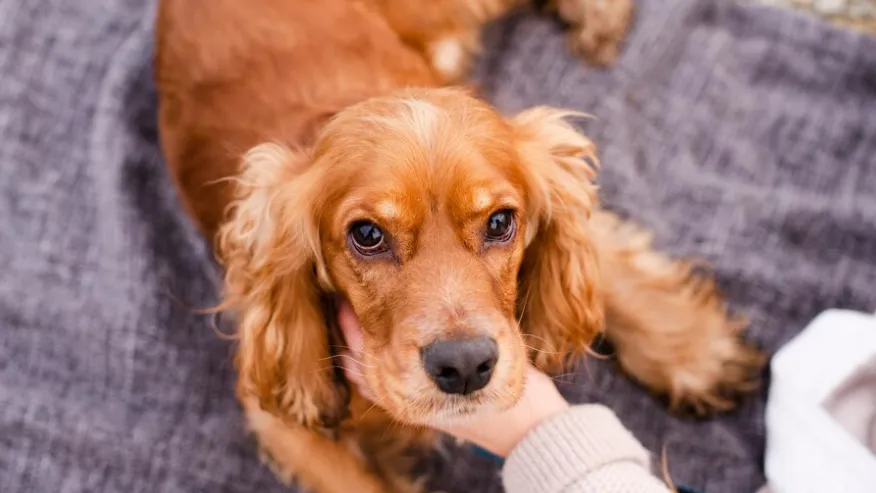 Источник: ru.freepik.com