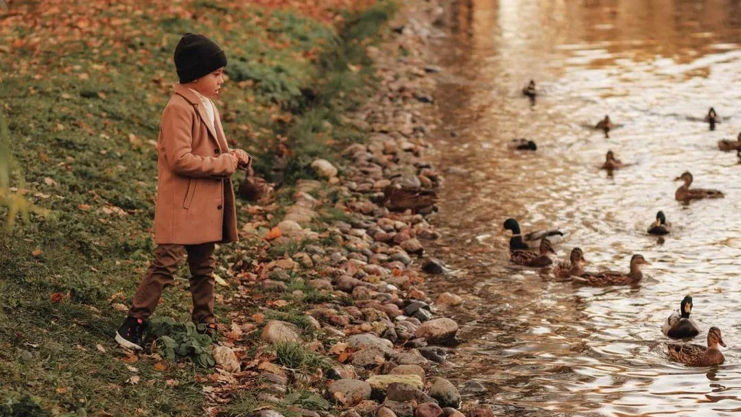 Министерство благоустройства Московской области