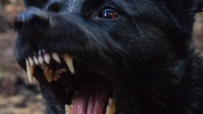 Источник: freepik.com