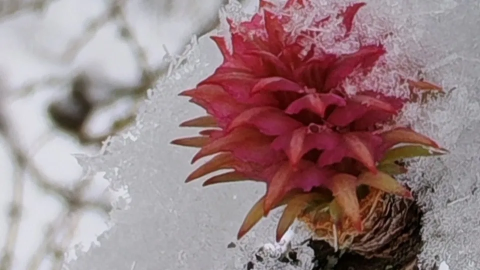 Фото: Константин Кошелев