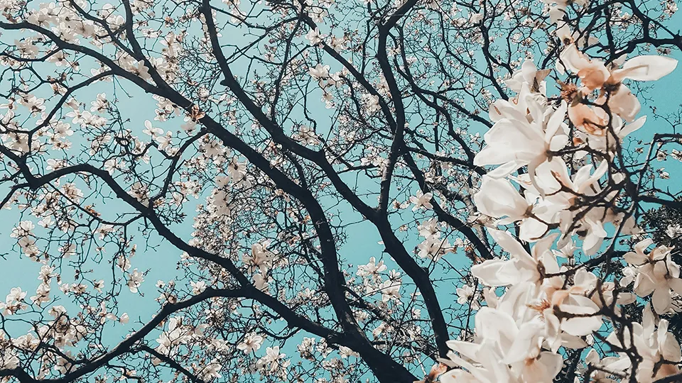 Фото: unsplash.com