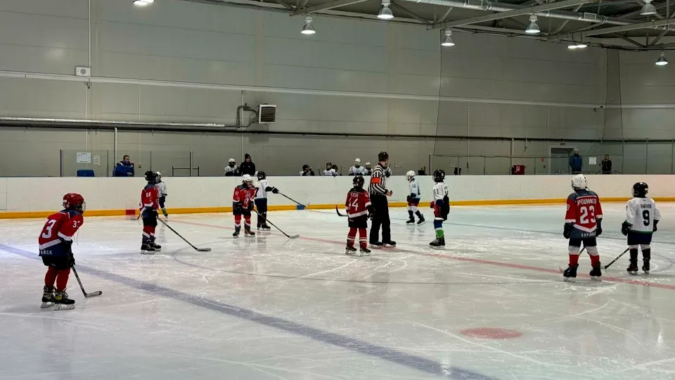 Фото: Зарайский ледовый спортивный комплекс