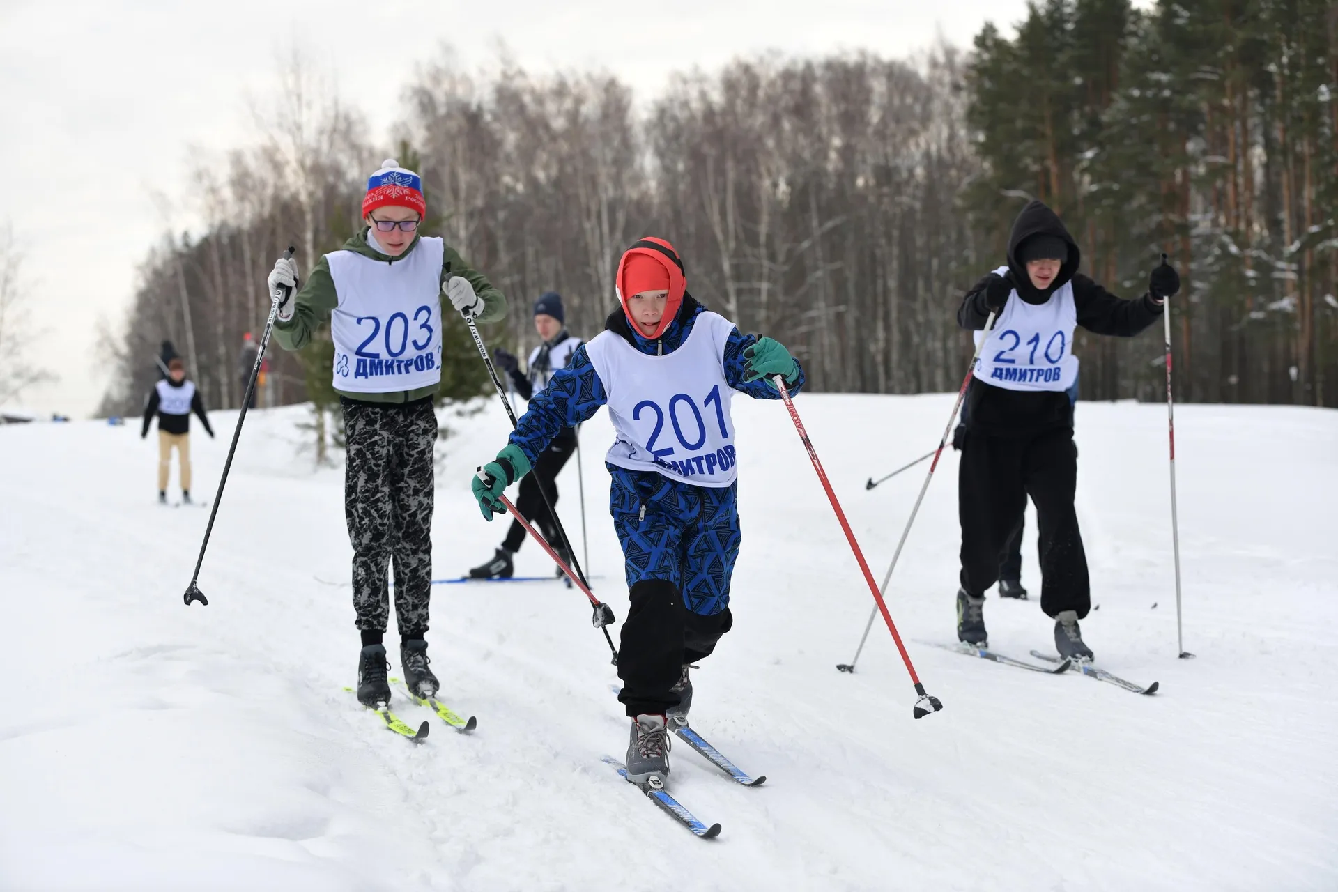 Фото: Администрация Дмитровского городского округа.
