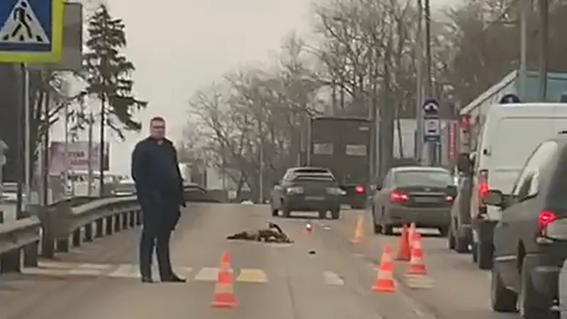 Пешехода насмерть сбили в Томилино