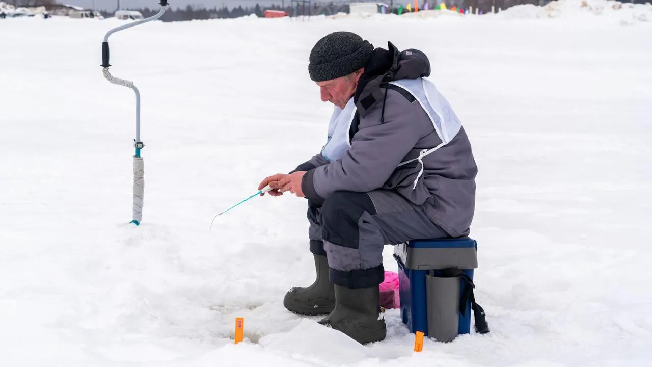 медиасток.рф