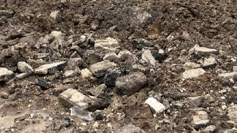 Фото Минэкологии МО.