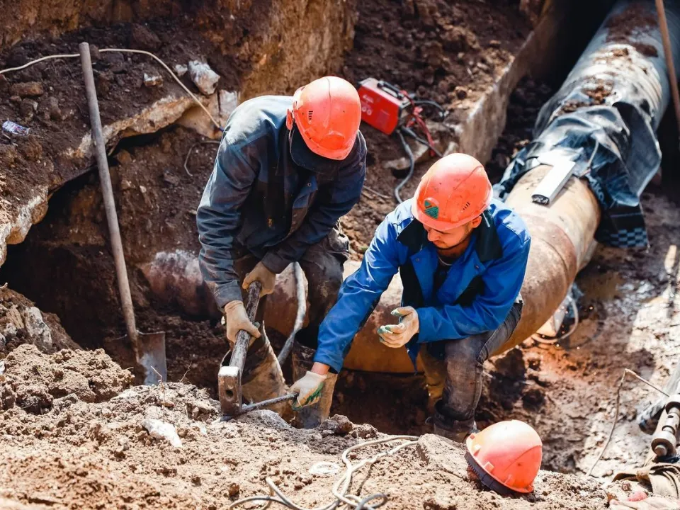 Фото: пресс-служба администрации г.о. Химки