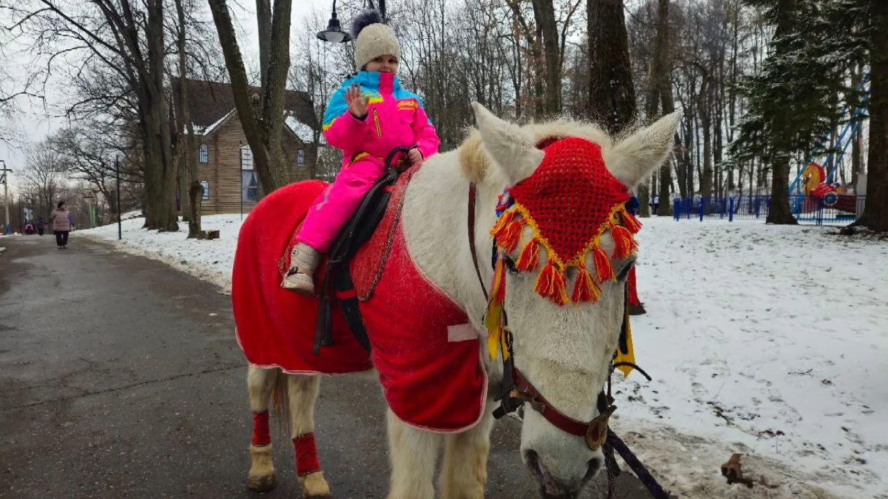 Фото: t.me/mbykrgoodpark