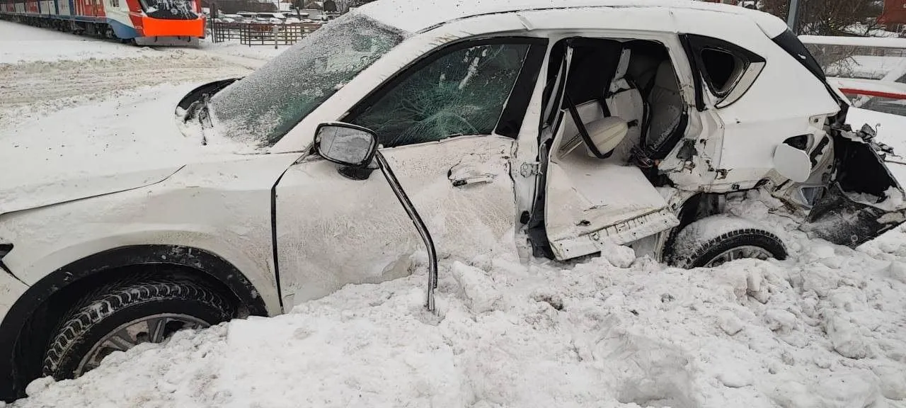 Фото: пресс-служба ГУ МВД России по Московской области